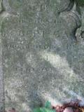 image of grave number 270633